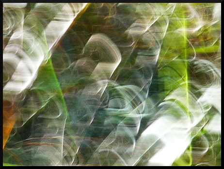 Herbes floues