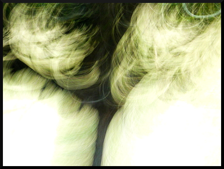 Arbres flous - Fantaisies graphiques