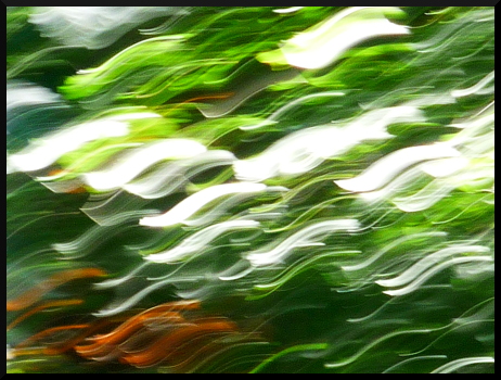 Arbres flous - Fantaisies graphiques