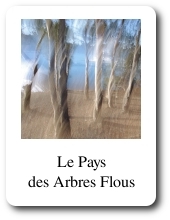 Le Pays des Arbres Flous