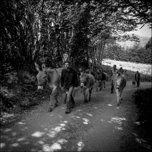 Le sentier des ânes - Marielle Lavalette - Photos Denis Lebioda