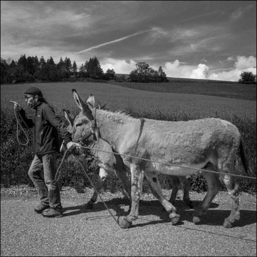 Le sentier des ânes - Marielle Lavalette - Photos Denis Lebioda