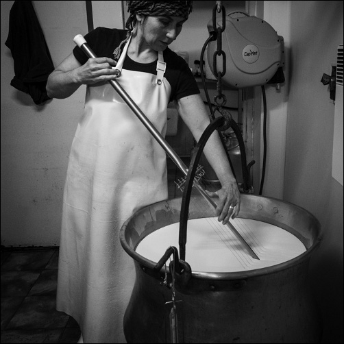 Ferme de Coste Joffre - Fabrication des fromages - Champsaur