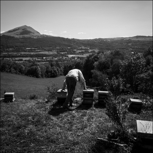 La récolte du miel - Rucher des noisetiers - Challet - Photo D. Lebioda